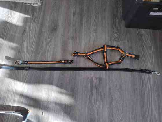 Pienen koiran kaulapanta, valjaat ja hihna Kotka