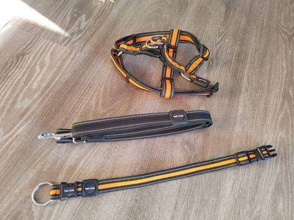 Pienen koiran kaulapanta, valjaat ja hihna Kotka – foto 1