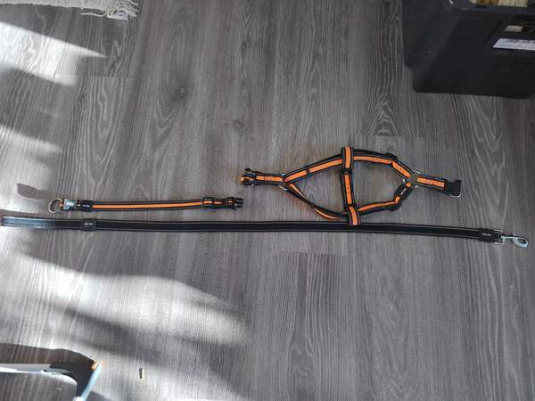 Pienen koiran kaulapanta, valjaat ja hihna Kotka – foto 4