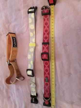 3 pienen koiran heijastavaa kaulapantaa. Rukka ja Basic Tampere