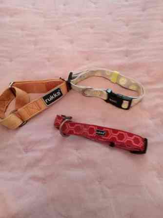 3 pienen koiran heijastavaa kaulapantaa. Rukka ja Basic Tampere