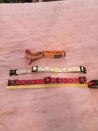 3 pienen koiran heijastavaa kaulapantaa. Rukka ja Basic Tampere