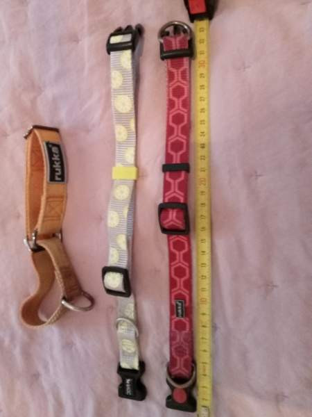 3 pienen koiran heijastavaa kaulapantaa. Rukka ja Basic Tampere - valokuva 4