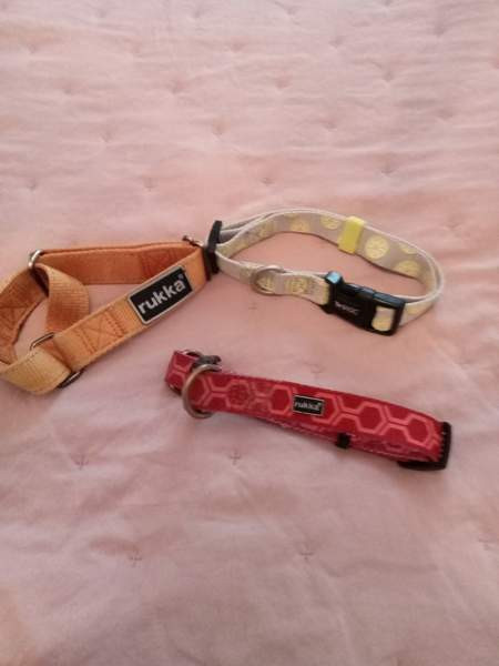 3 pienen koiran heijastavaa kaulapantaa. Rukka ja Basic Tampere - valokuva 1