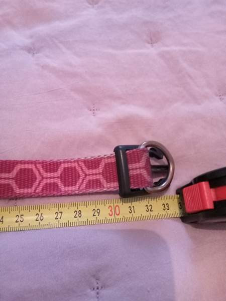 3 pienen koiran heijastavaa kaulapantaa. Rukka ja Basic Tampere - valokuva 2