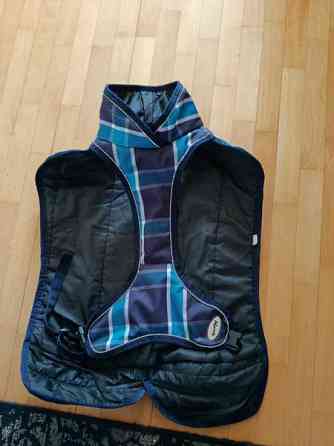 Koiran Talvitakki Joensuu