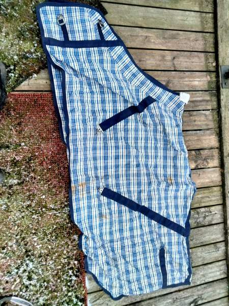 Kangas loimi Raasepori - valokuva 1