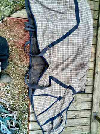 Kangas loimi Raasepori