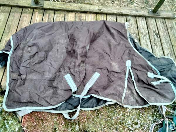 Loimi Raasepori – foto 1