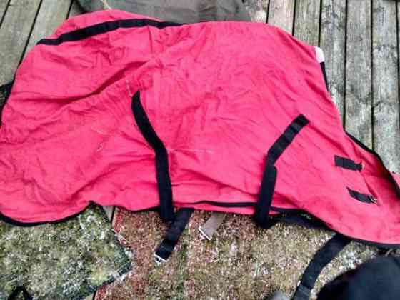 Villaloimi Raasepori