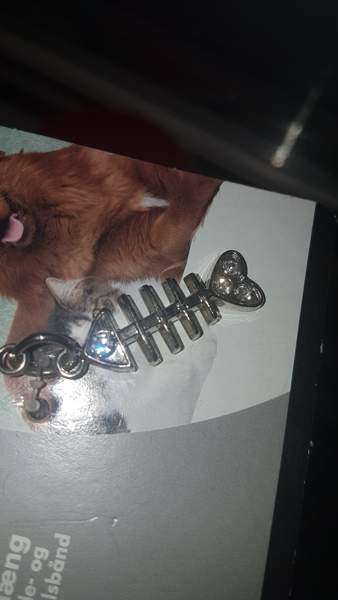 Lemikille Riipus Kalanruoto Espoo – foto 2