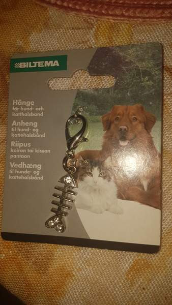 Lemikille Riipus Kalanruoto Espoo – foto 1