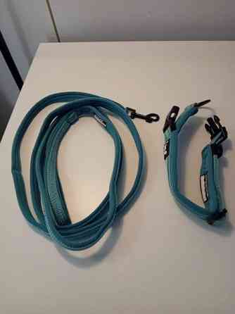 Kissan kaulapanta ja hihna Seinaejoki