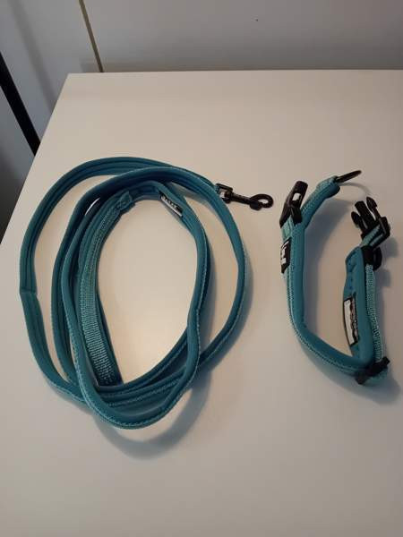 Kissan kaulapanta ja hihna Seinäjoki - valokuva 2