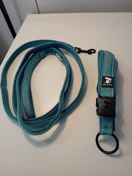 Kissan kaulapanta ja hihna Seinäjoki - valokuva 1