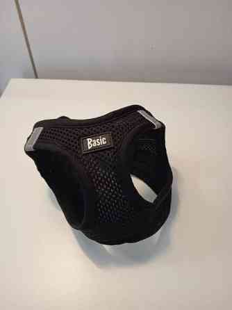 Kissan valjaat Seinaejoki