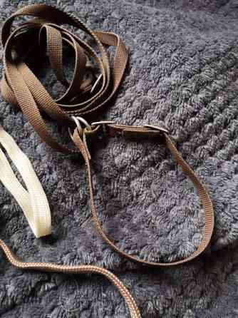 Näyttelyhihnat Pöytyä