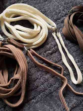 Näyttelyhihnat Pöytyä