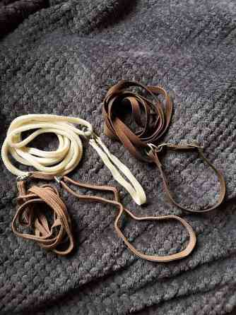 Näyttelyhihnat Pöytyä