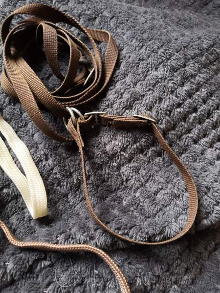 Näyttelyhihnat Pöytyä – foto 3