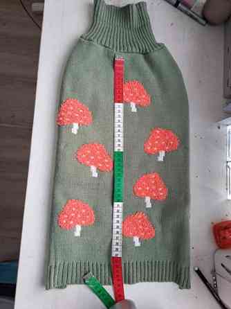 Koiran neule Keminmaa