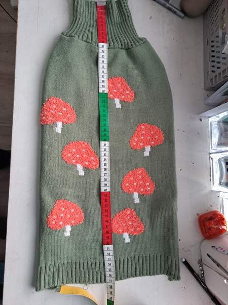 Koiran neule Keminmaa - изображение 5