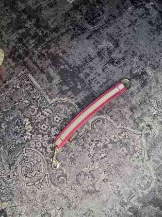 Topcanis jakaja heijastimella Kemijärvi