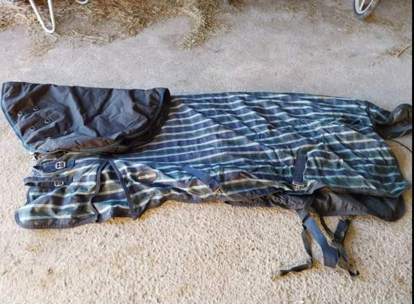 Toppaloimi 165cm Hämeenkyrö - valokuva 1