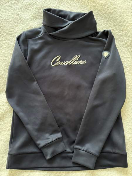 Covalliero ratsastuspoolo Jyvaeskylae - photo 4