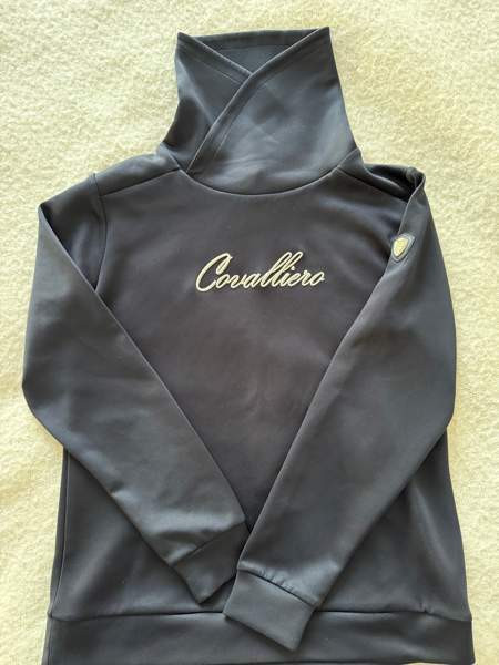 Covalliero ratsastuspoolo Jyvaeskylae - photo 1