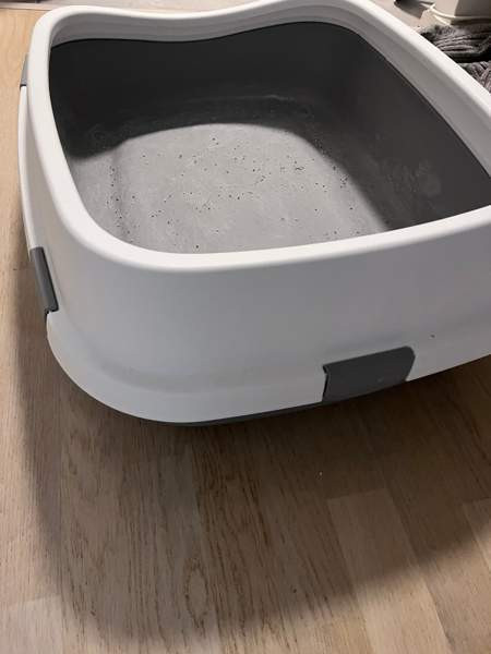 Kissanvessa xxl Helsinki - valokuva 4