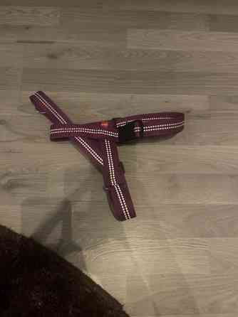 Keskikokoisen koiran valjaat Jämijärvi