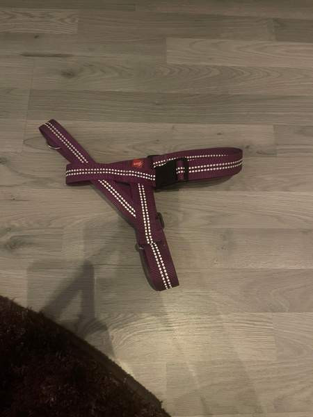 Keskikokoisen koiran valjaat Jämijärvi – foto 1