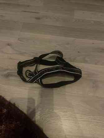 Pienen koiran valjaat Hurtta Jämijärvi