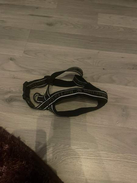 Pienen koiran valjaat Hurtta Jämijärvi - photo 1