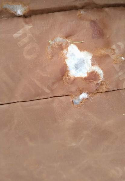 Horze highneck paksu toppaloimi 165cm Lappeenranta – foto 7