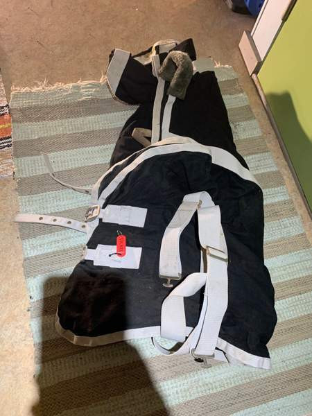 Loimia 145-155cm, Jyväskylä - valokuva 1