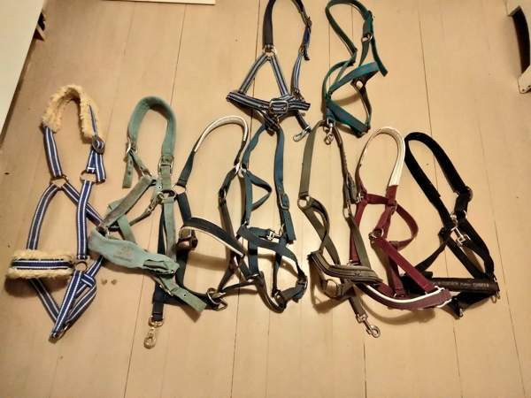 Riimuja Raasepori - valokuva 1