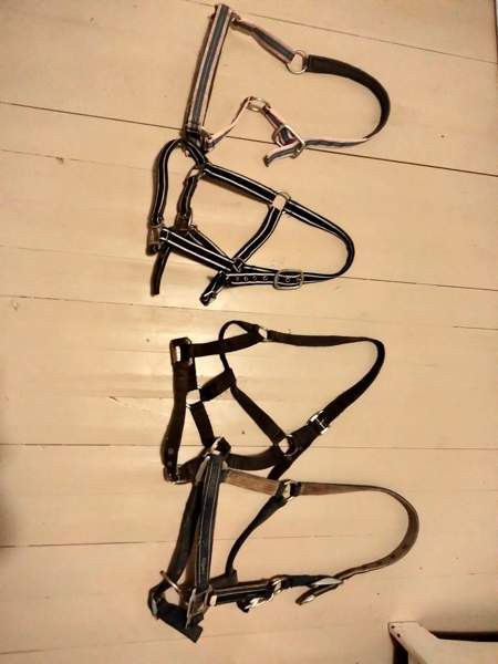 Riimut Raasepori – foto 1