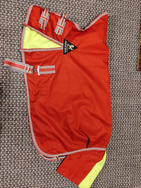 Globus sport sadeloimi Kuopio - valokuva 1