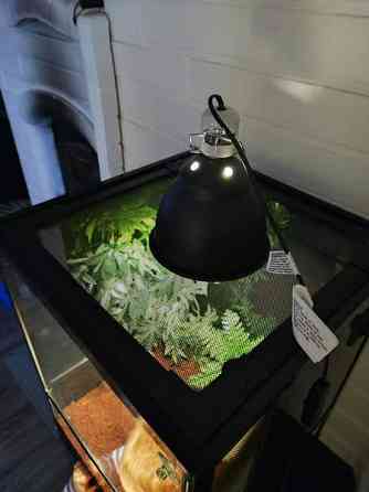 Terraario etuovella 45x45x60 Sievi