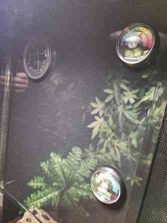 Terraario etuovella 45x45x60 Sievi