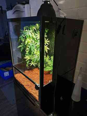 Terraario etuovella 45x45x60 Sievi