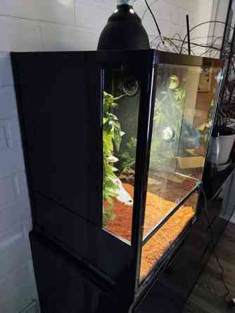 Terraario etuovella 45x45x60 Sievi