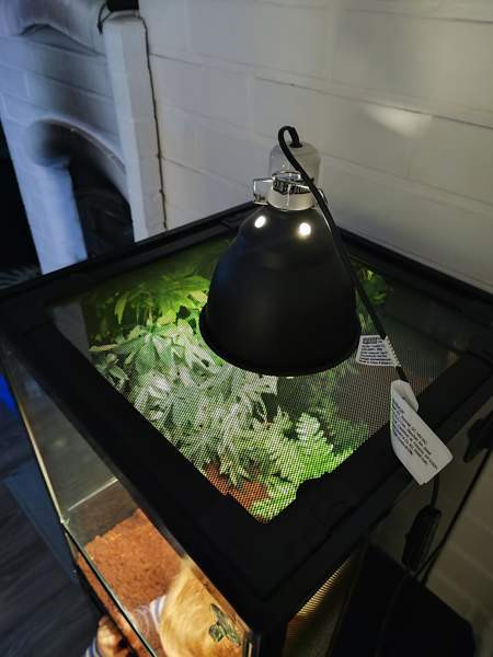 Terraario etuovella 45x45x60 Sievi - изображение 4