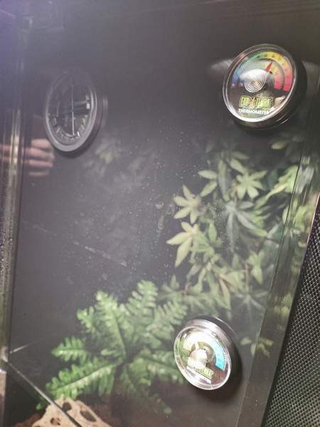 Terraario etuovella 45x45x60 Sievi - изображение 5