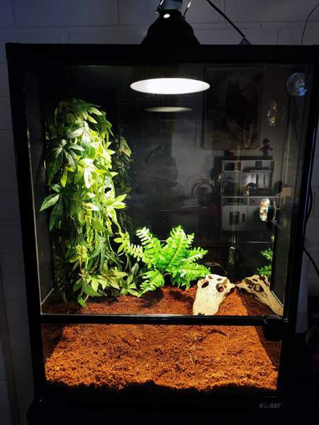 Terraario etuovella 45x45x60 Sievi - изображение 1