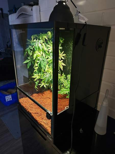 Terraario etuovella 45x45x60 Sievi - изображение 2