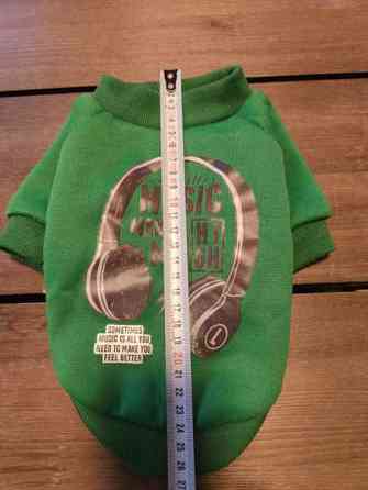 Koiran neule Силинъярви