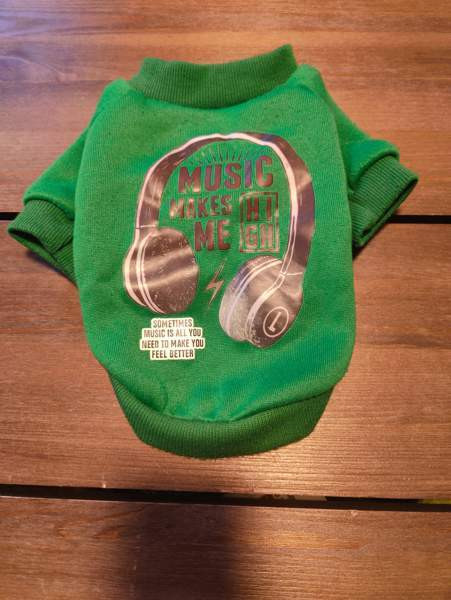 Koiran neule Силинъярви - изображение 2